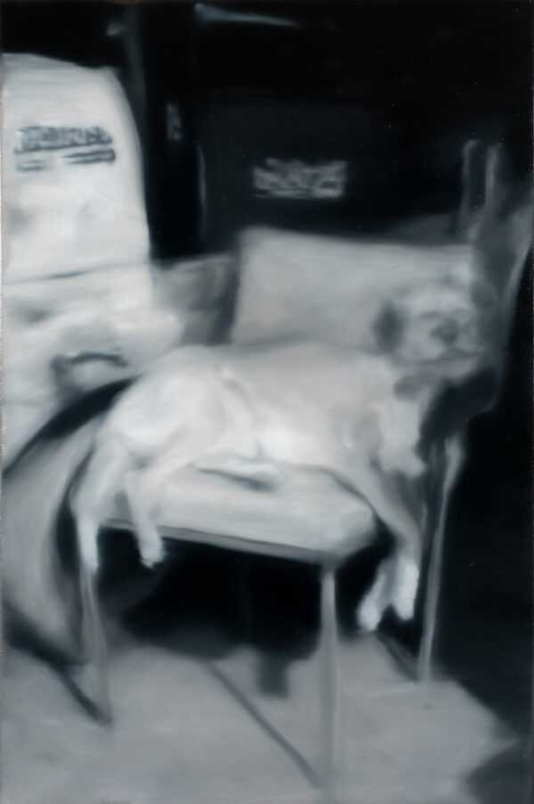 perro sobre silla, Óleo, sobre tela de algodón, 67 x 45 cm