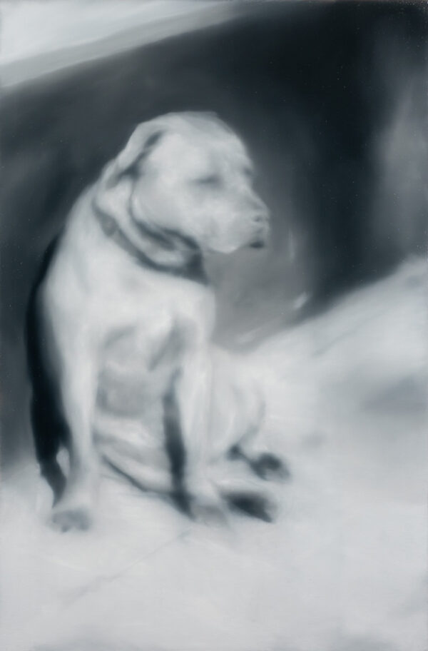 perro sentado, Óleo, sobre tela de algodón, 67 x 45 cm