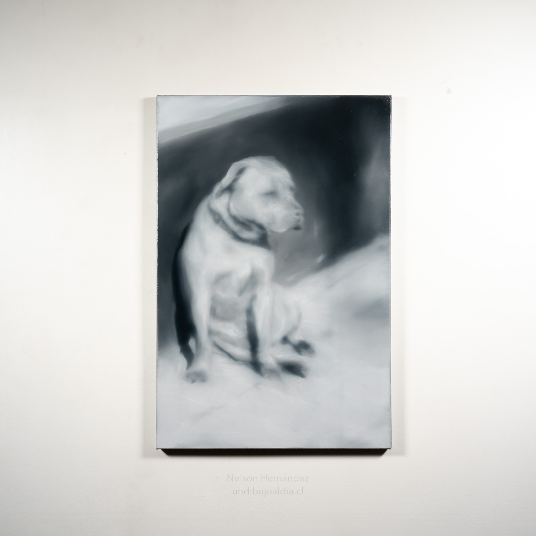 perro sentado, Óleo, sobre tela de algodón, 67 x 45 cm