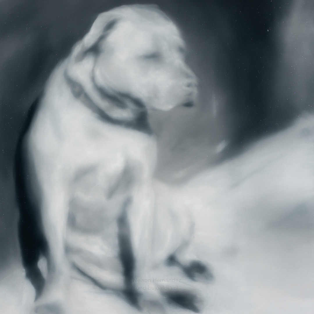 perro sentado, Óleo, sobre tela de algodón, 67 x 45 cm
