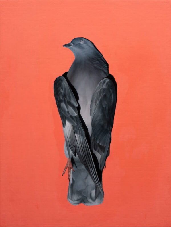 estudio para Espíritu Santo, Óleo, sobre madera entelada, 30 x 40 cm