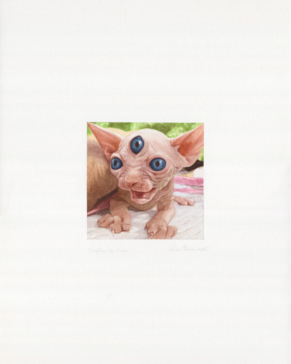 I will hunt you while you sleep, Acuarela, sobre papel Arches 300g Satinado, 25 x 35 cm