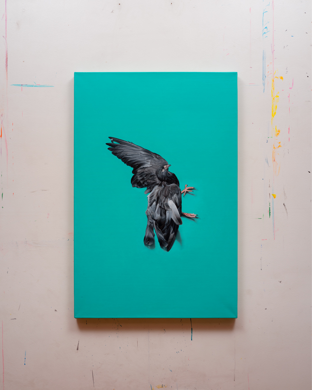 dove, Oil, About linen, 90 x 60 cm / 35.4 x 23.6 in
