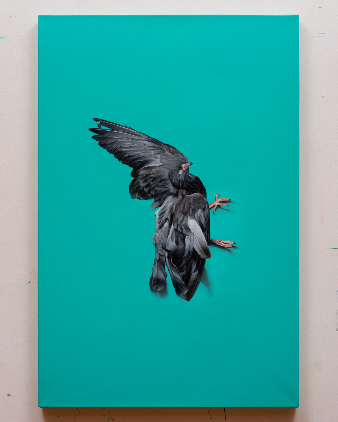 dove, Oil, About linen, 90 x 60 cm / 35.4 x 23.6 in