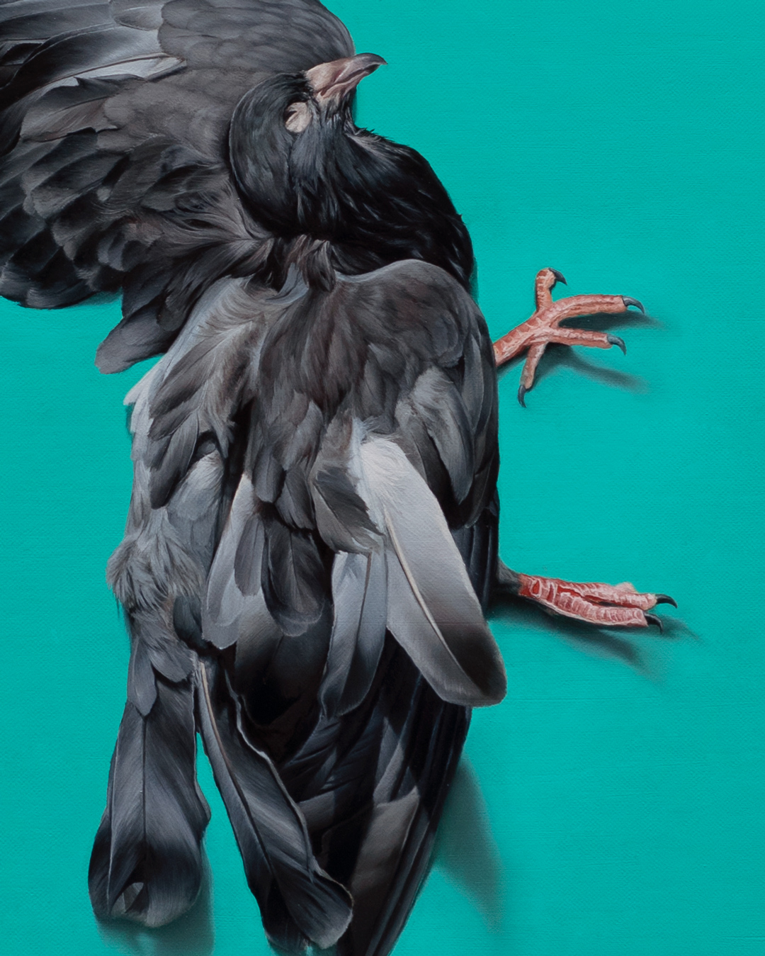 dove, Oil, About linen, 90 x 60 cm / 35.4 x 23.6 in