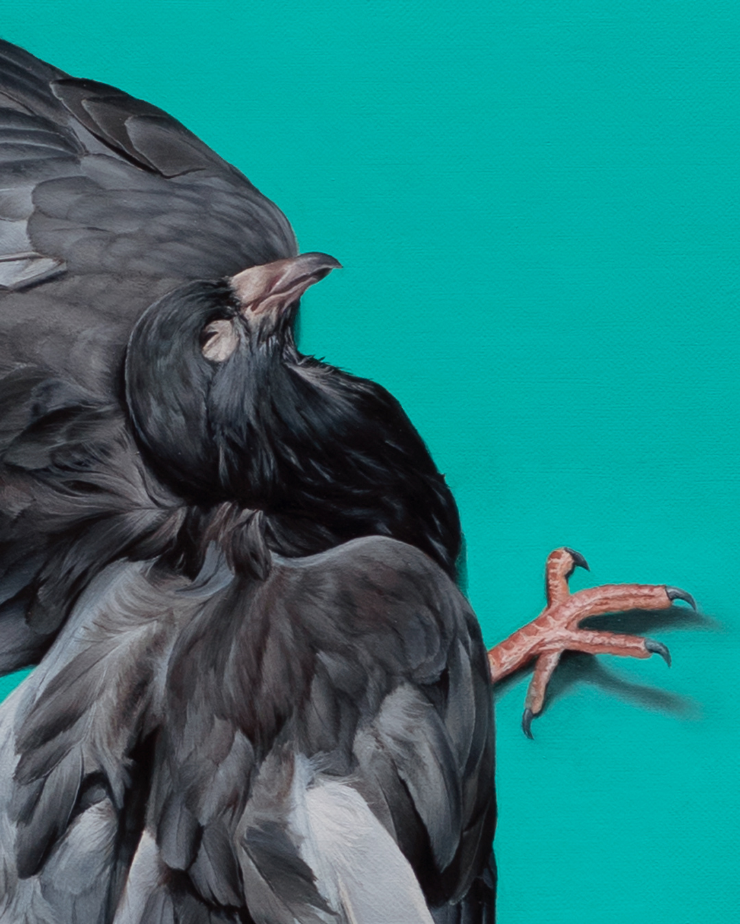 dove, Oil, About linen, 90 x 60 cm / 35.4 x 23.6 in