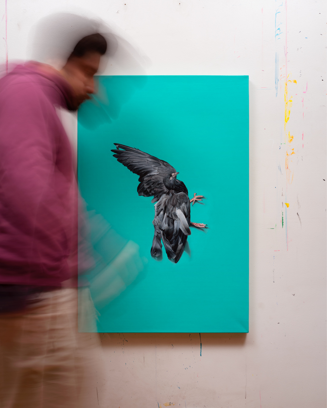 dove, Oil, About linen, 90 x 60 cm / 35.4 x 23.6 in