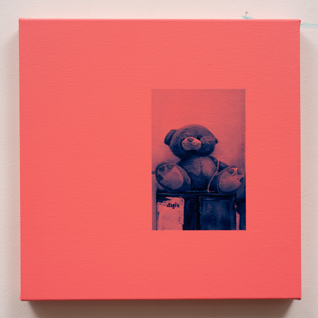 Teddy Fresh, Óleo y Acrílico, sobre tela de algodón, 30 x 40 cm
