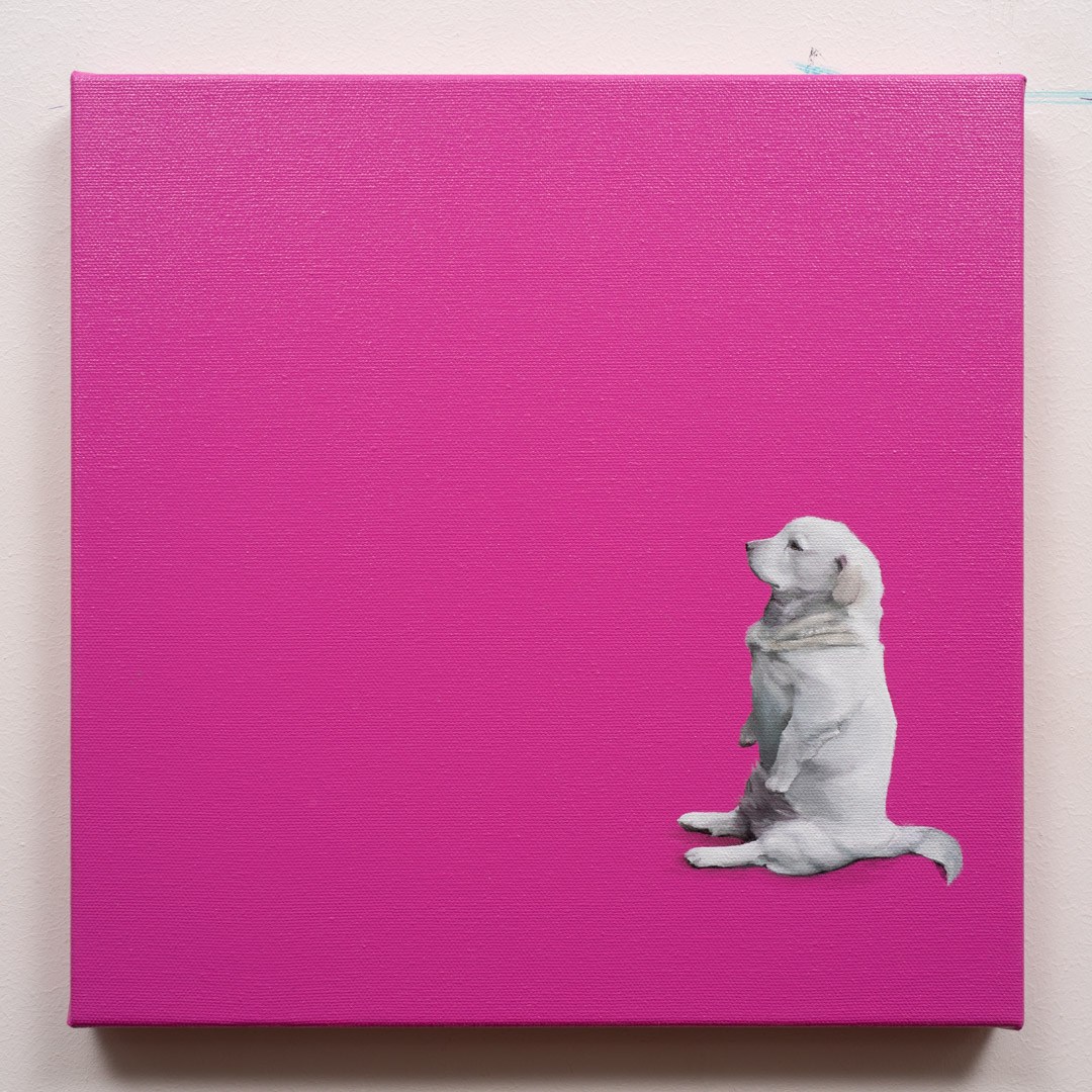 perro sentao, Óleo y Acrílico, sobre tela de algodón, 30 x 30 cm