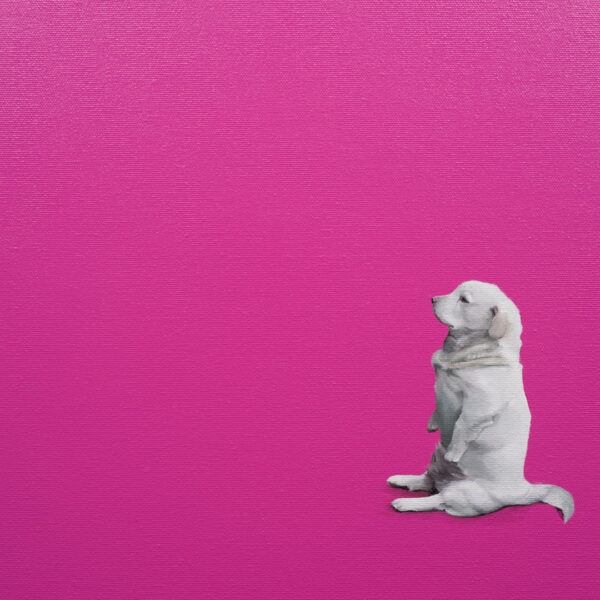 perro sentao, Óleo y Acrílico, sobre tela de algodón, 30 x 30 cm