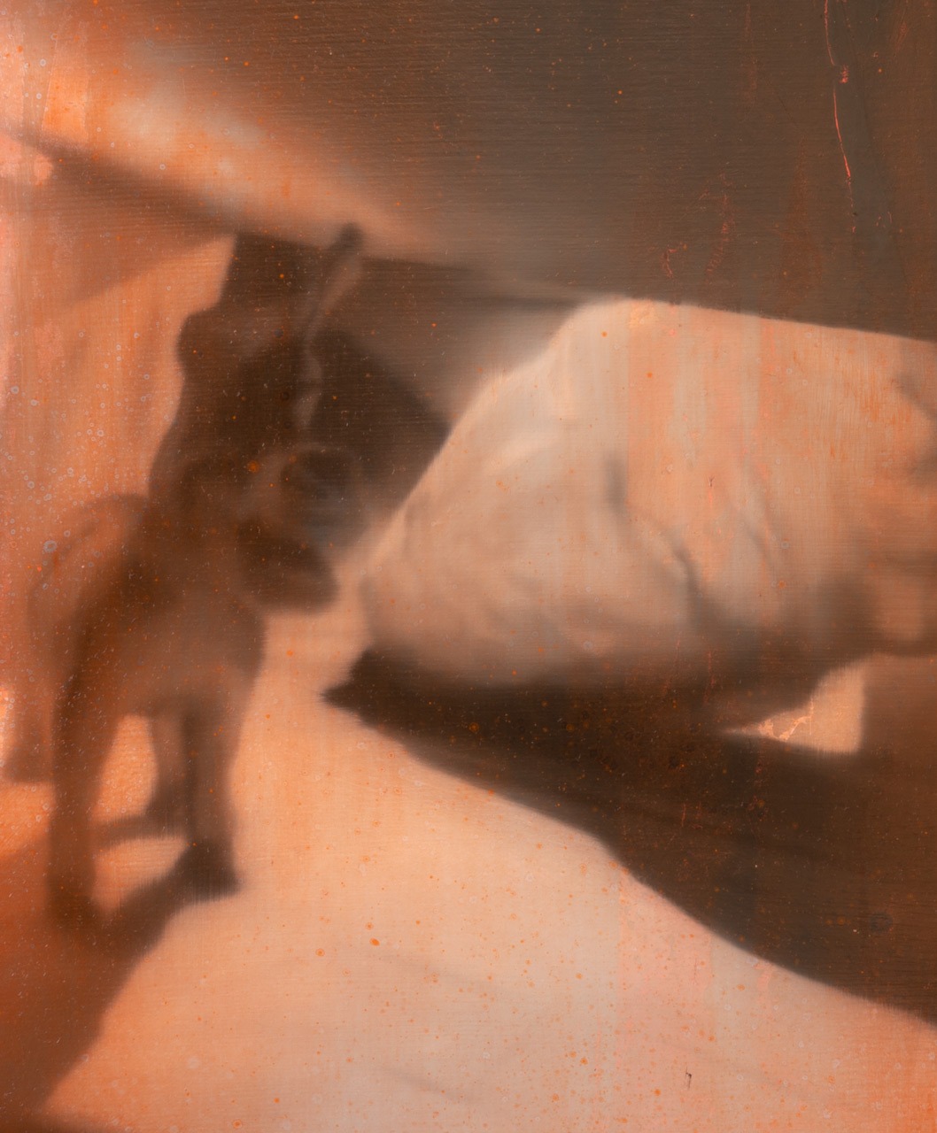 Fever dream (tunnel), Óleo, sobre panel de madera, 35,4 x 27,8 cm