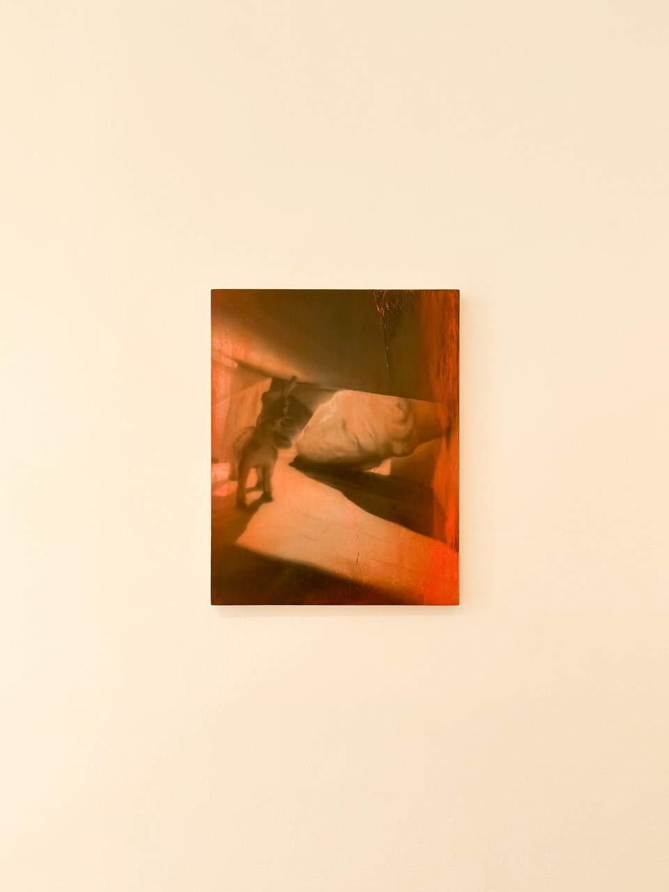 Fever dream (tunnel), oil on wooden panel, 14 × 11 cm, hung on a white wall at Pipeline Gallery. Reddish and orange tones with a blurred figure and cast shadow.